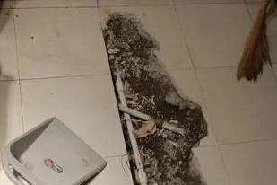 京山卫生间漏水检测电话